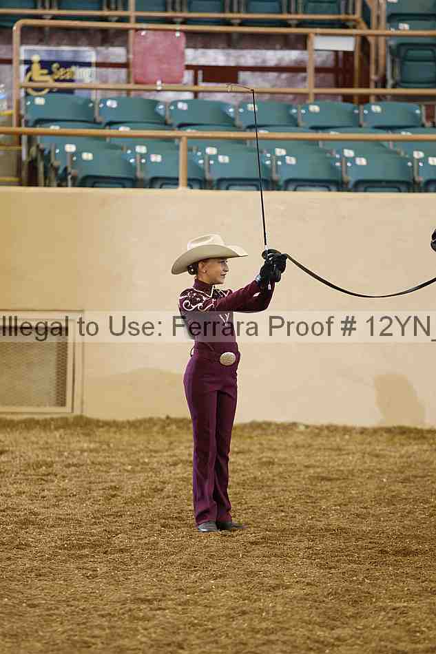 Proof Number 12yn_00355