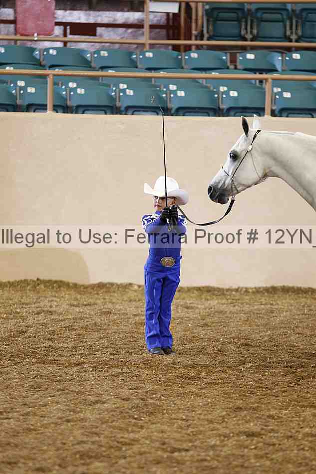 Proof Number 12yn_00367