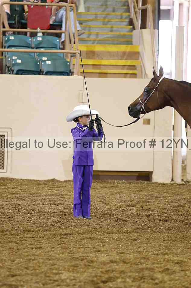 Proof Number 12yn_00372