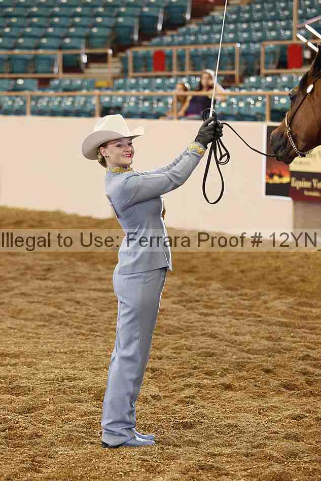 Proof Number 12yn_00257