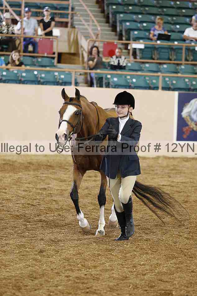 Proof Number 12yn_00259