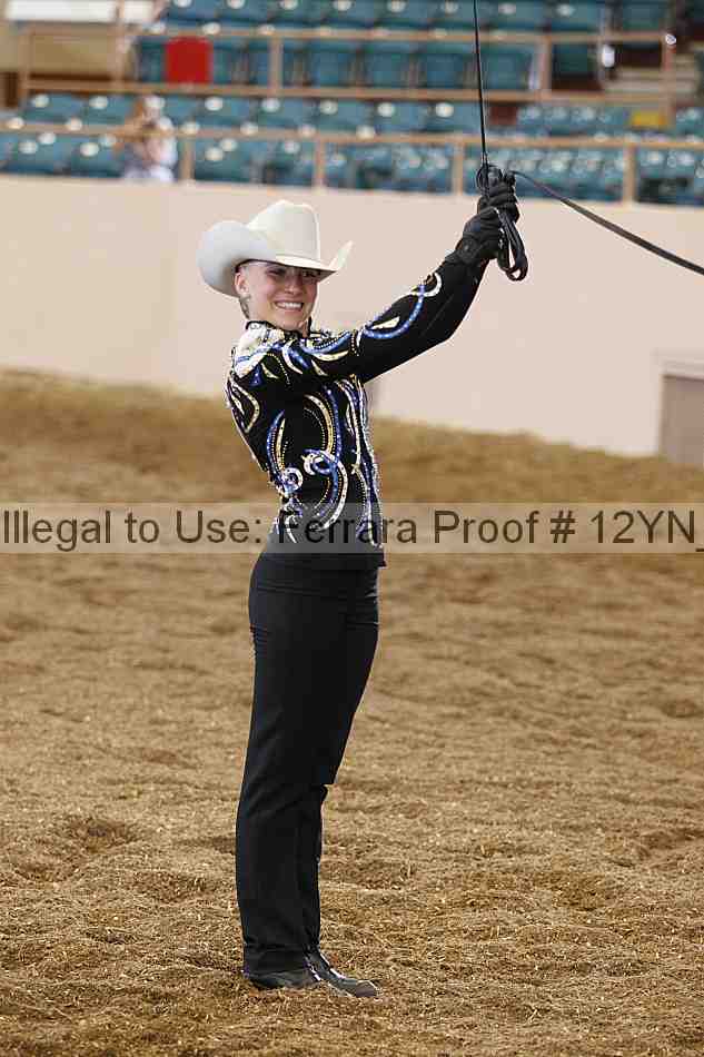 Proof Number 12yn_00270