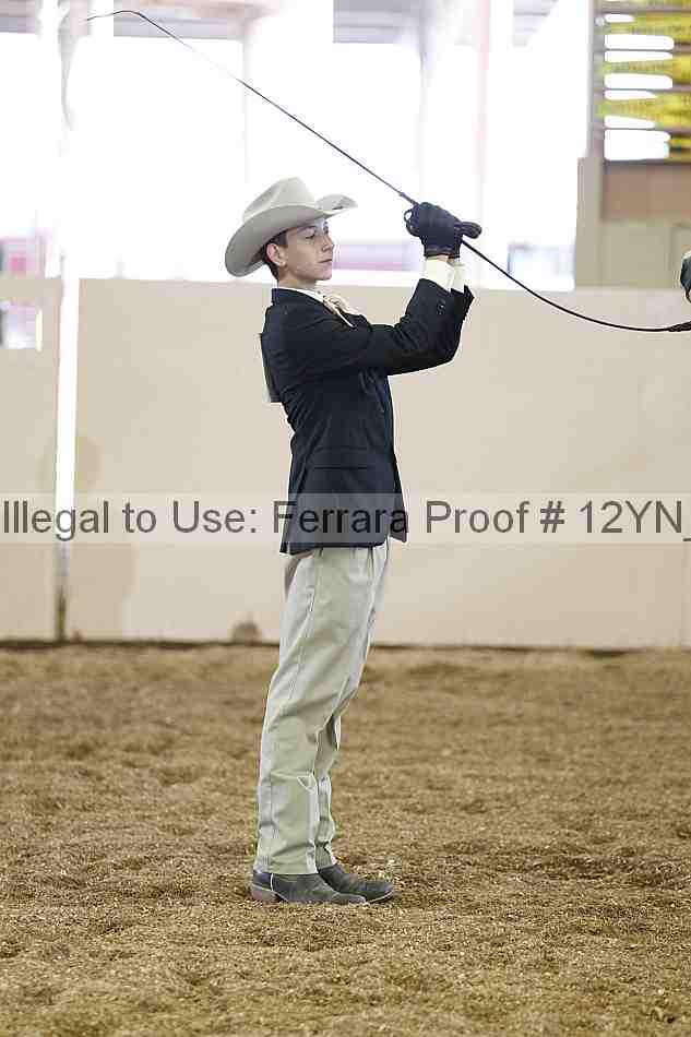 Proof Number 12yn_00047