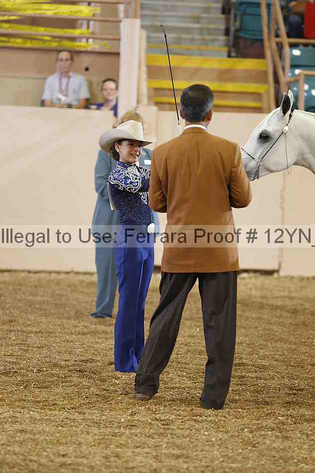 Proof Number 12yn_00065