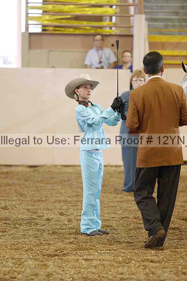 Proof Number 12yn_00090
