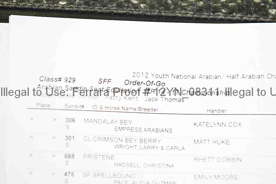 Proof Number 12yn_08311