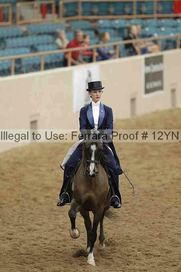 Proof Number 12yn_08335