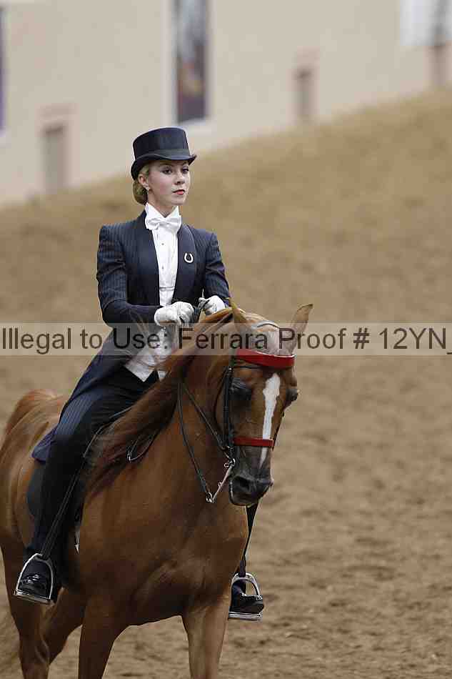 Proof Number 12yn_08341