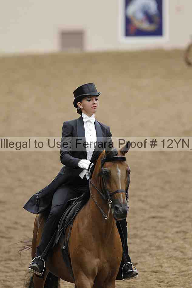 Proof Number 12yn_08352