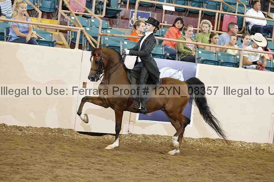 Proof Number 12yn_08357