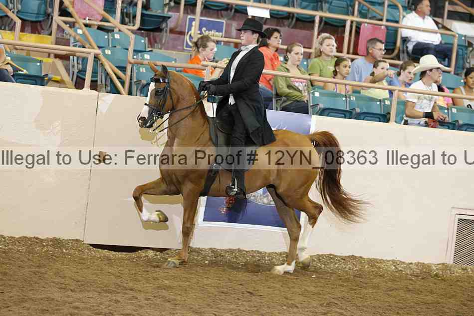 Proof Number 12yn_08363