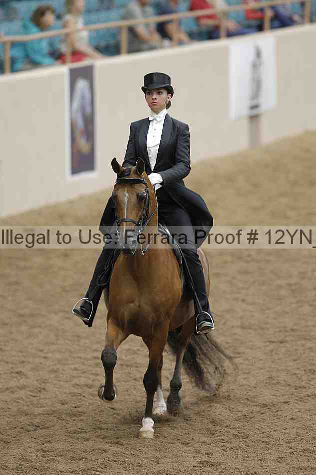 Proof Number 12yn_08368
