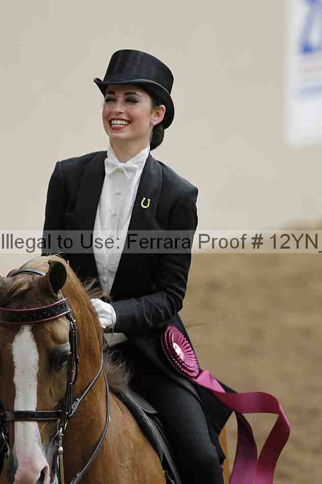 Proof Number 12yn_08511