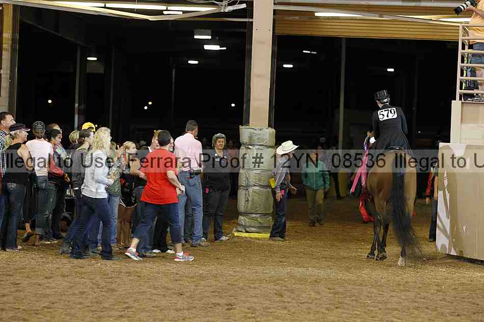 Proof Number 12yn_08536