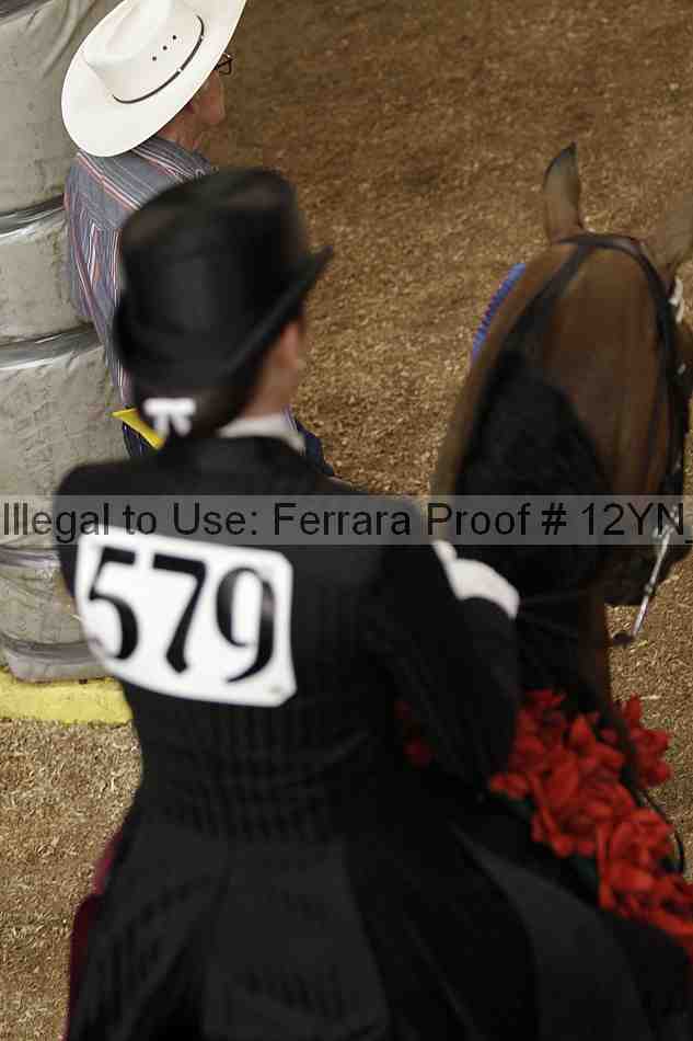Proof Number 12yn_08544
