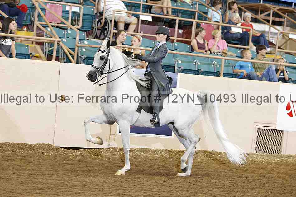 Proof Number 12yn_10493