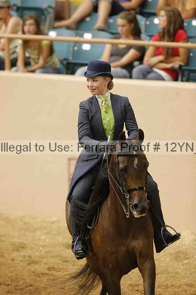 Proof Number 12yn_10531