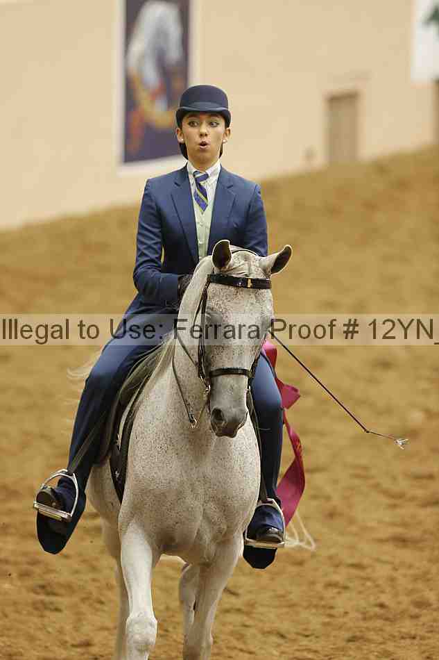 Proof Number 12yn_10609