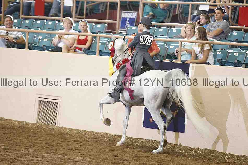 Proof Number 12yn_10638