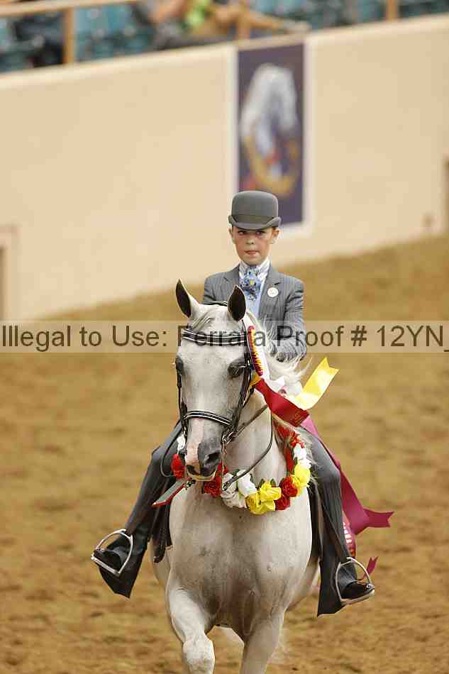 Proof Number 12yn_10642