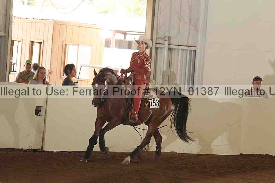 Proof Number 12yn_01387