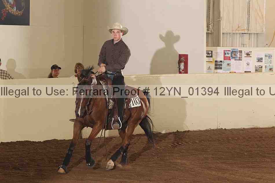 Proof Number 12yn_01394