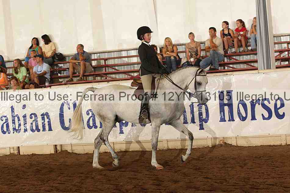 Proof Number 12yn_13105