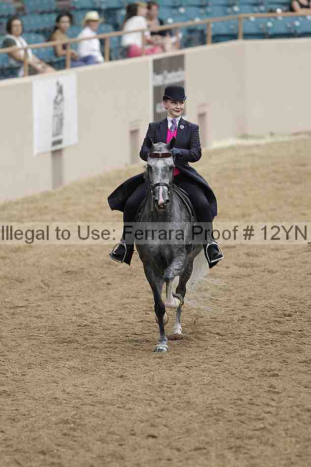 Proof Number 12yn_00775