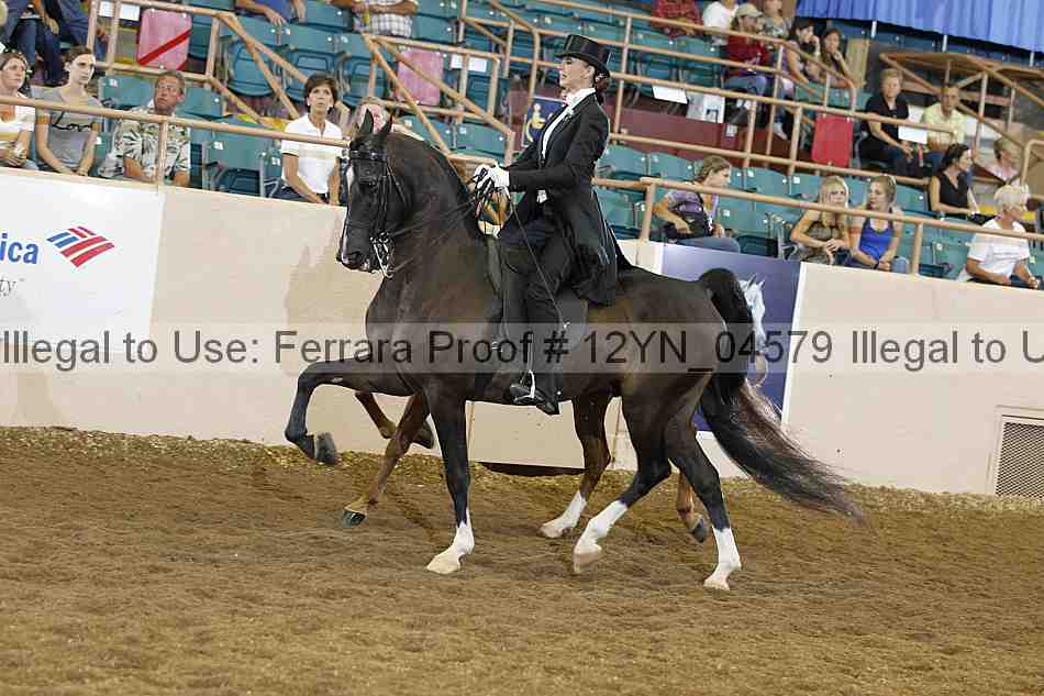 Proof Number 12yn_04579