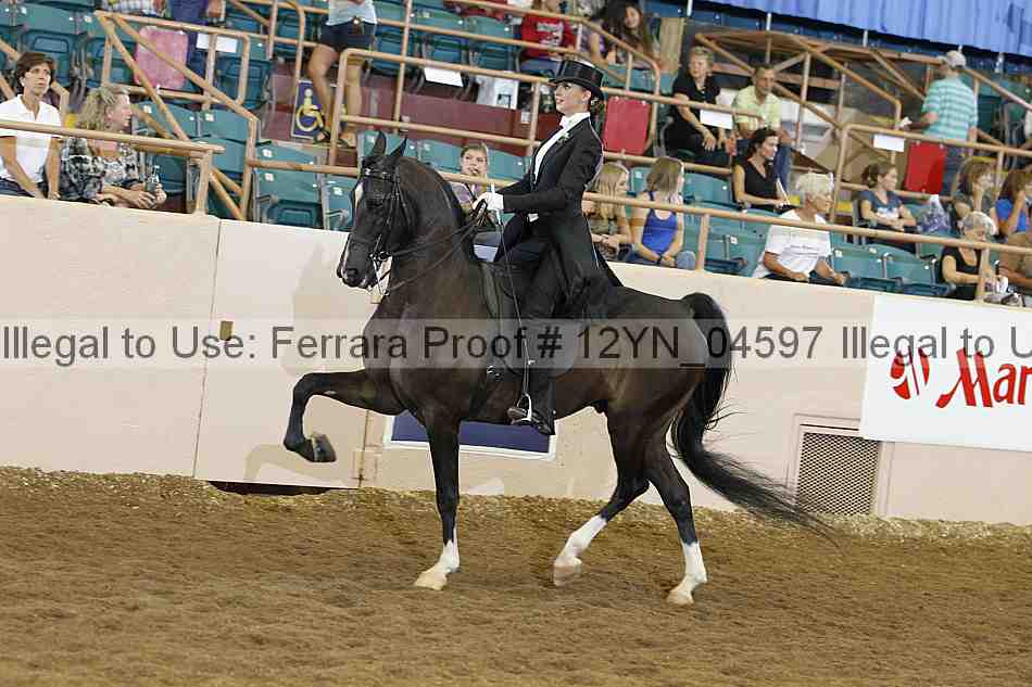 Proof Number 12yn_04597