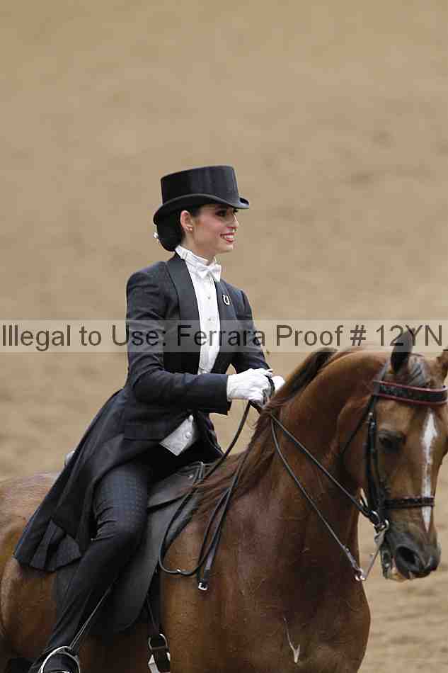 Proof Number 12yn_04609