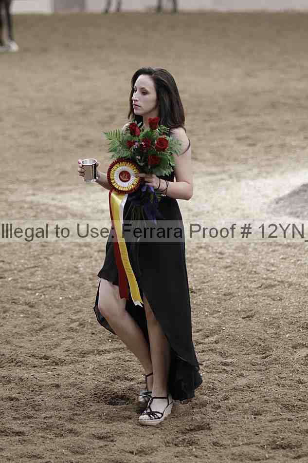 Proof Number 12yn_04633