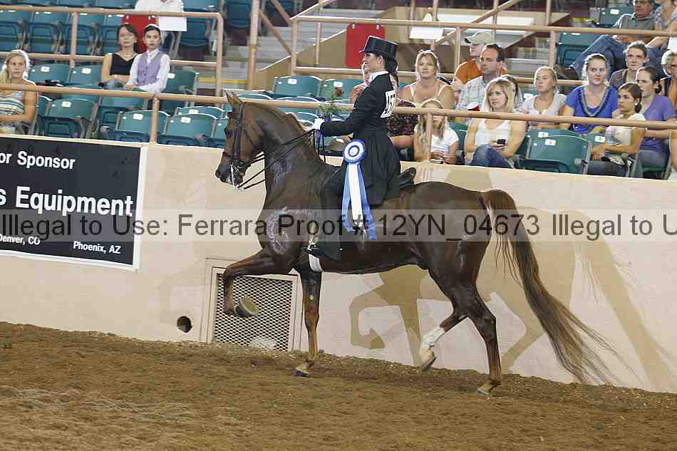 Proof Number 12yn_04673