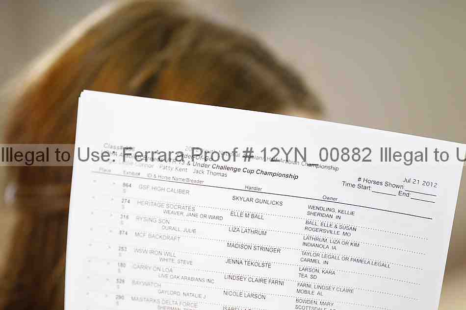 Proof Number 12yn_00882