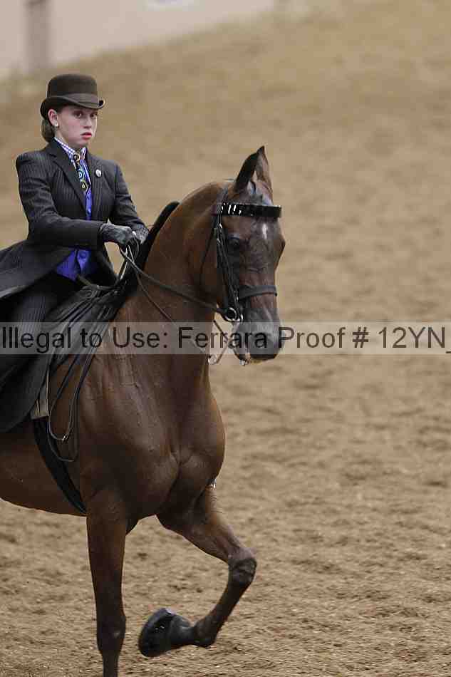 Proof Number 12yn_00904