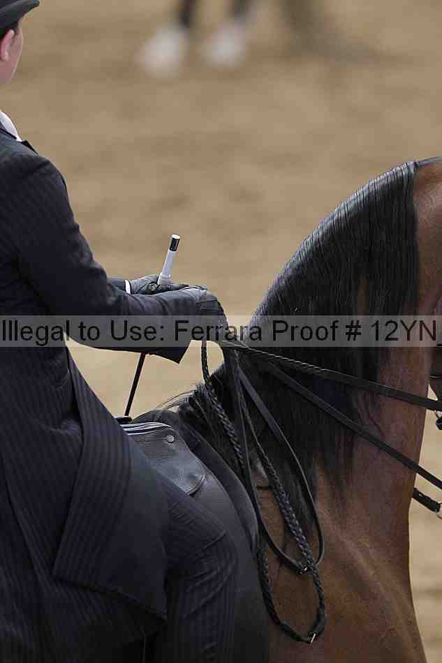 Proof Number 12yn_00910