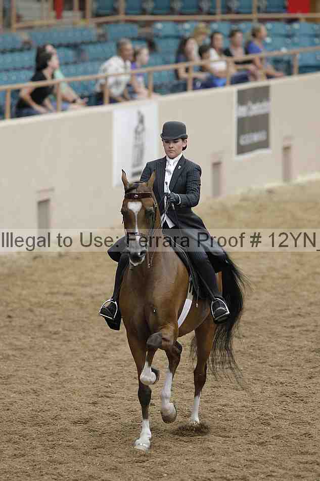 Proof Number 12yn_00945