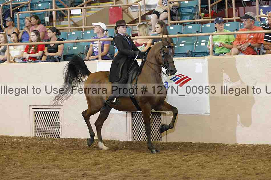 Proof Number 12yn_00953