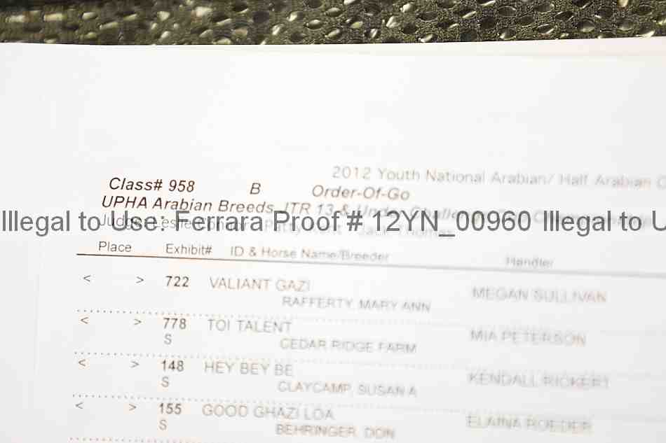 Proof Number 12yn_00960