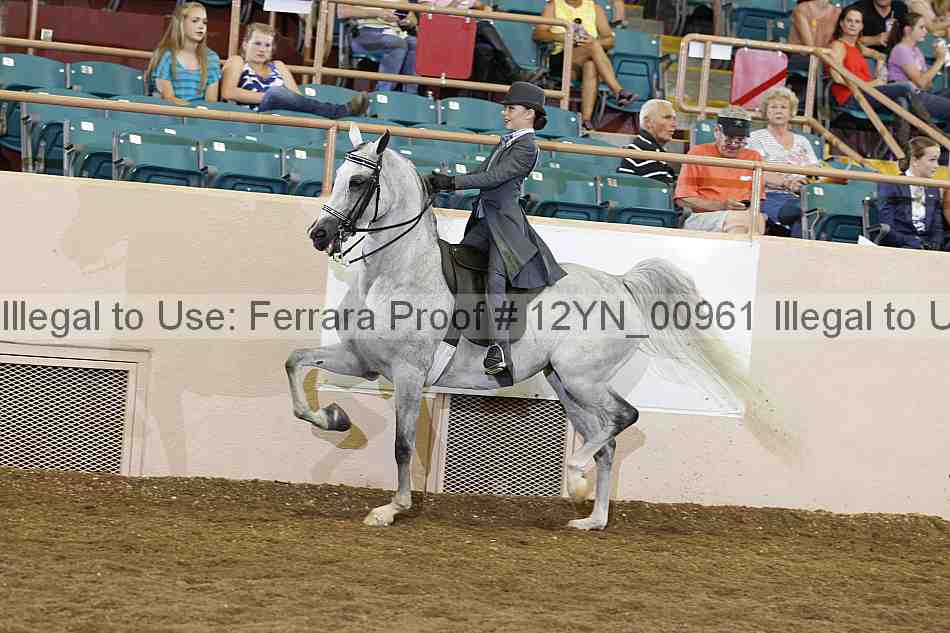 Proof Number 12yn_00961