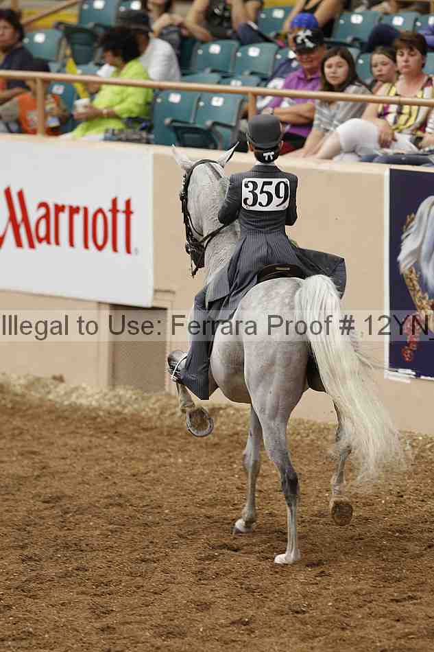 Proof Number 12yn_00964