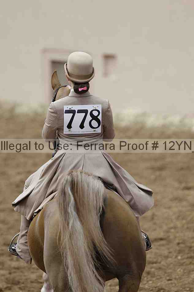 Proof Number 12yn_00968