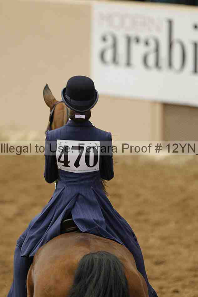 Proof Number 12yn_00989
