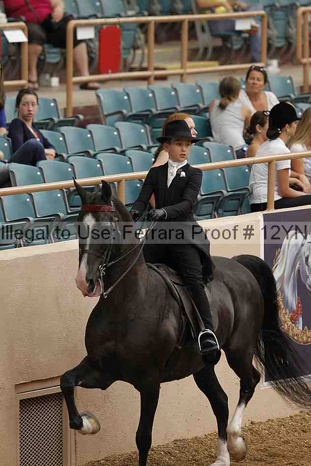 Proof Number 12yn_01008