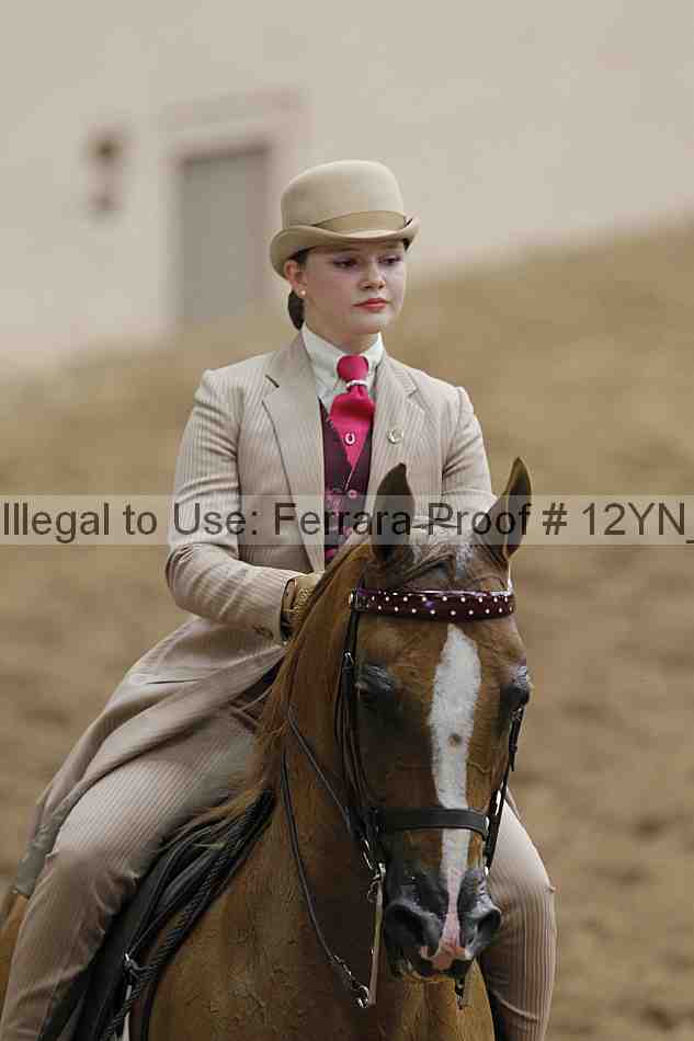 Proof Number 12yn_01020