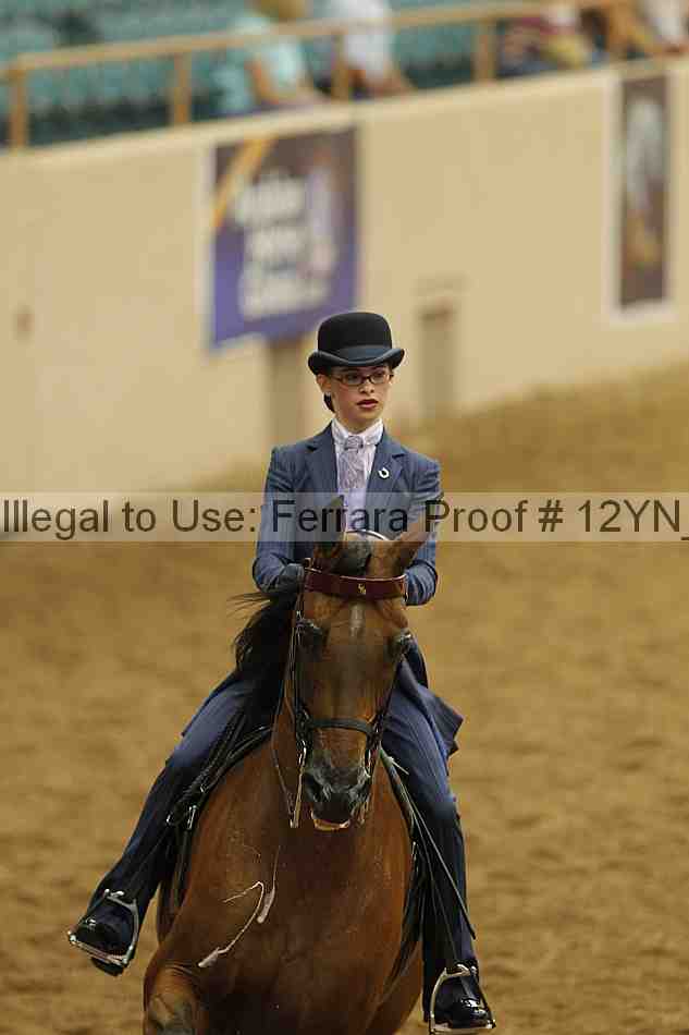 Proof Number 12yn_01022