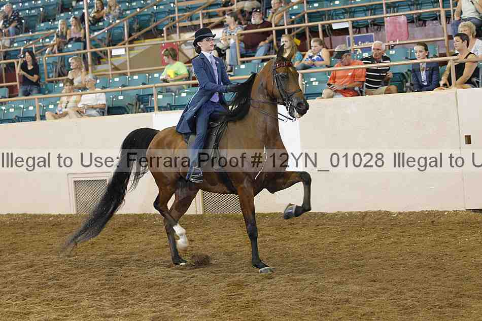 Proof Number 12yn_01028