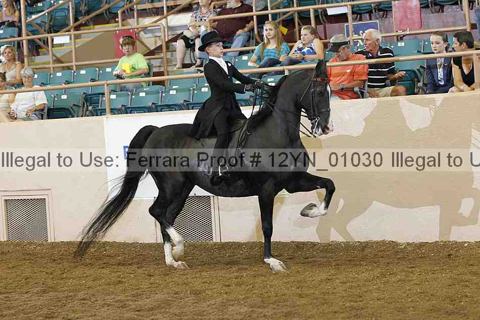 Proof Number 12yn_01030