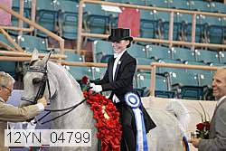 12yn_04799 thumbnail