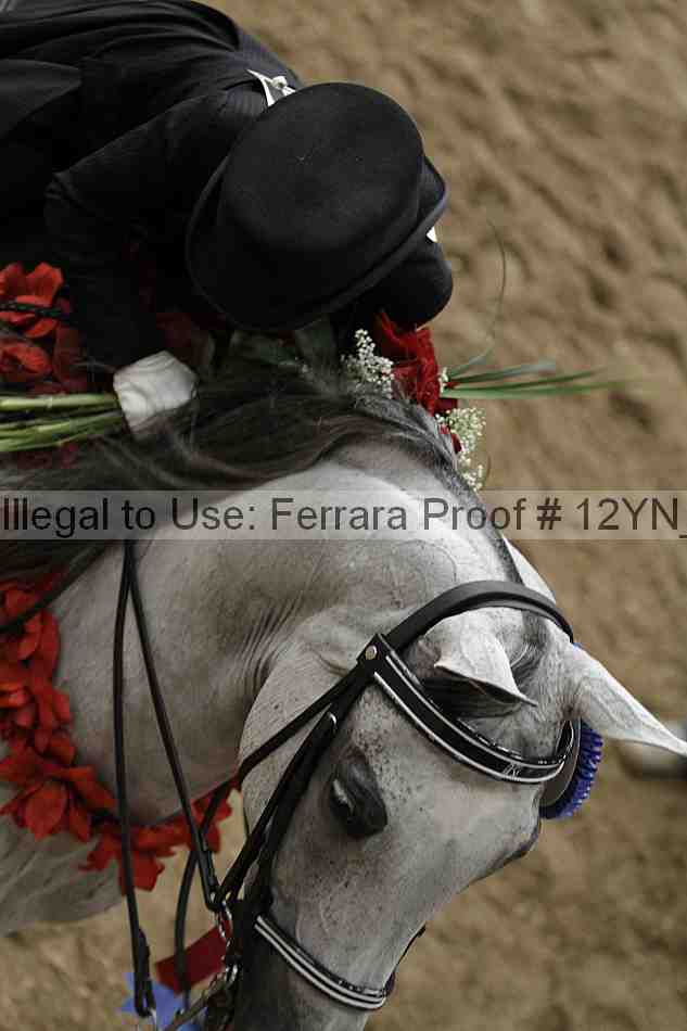 Proof Number 12yn_04903